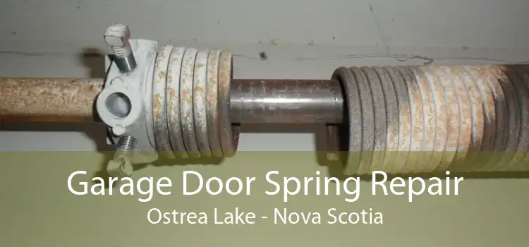 Garage Door Spring Repair Ostrea Lake - Nova Scotia
