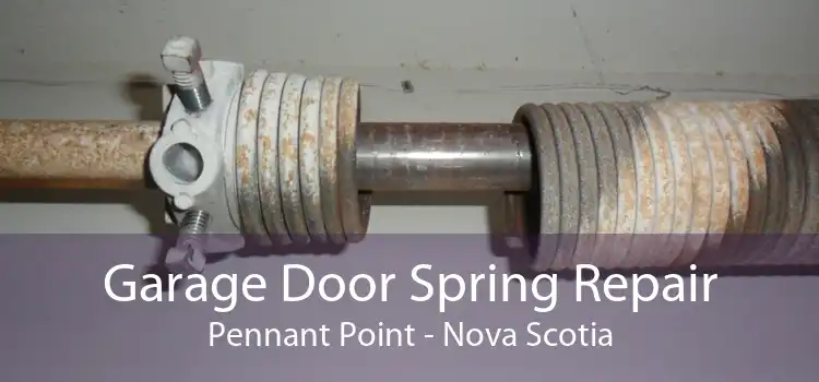 Garage Door Spring Repair Pennant Point - Nova Scotia