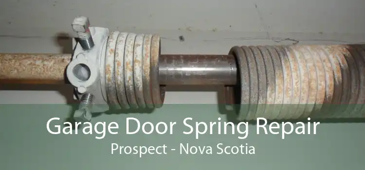 Garage Door Spring Repair Prospect - Nova Scotia