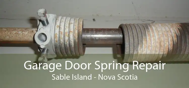 Garage Door Spring Repair Sable Island - Nova Scotia