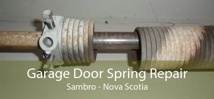 Garage Door Spring Repair Sambro - Nova Scotia