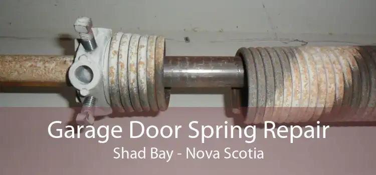 Garage Door Spring Repair Shad Bay - Nova Scotia