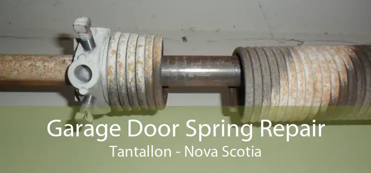 Garage Door Spring Repair Tantallon - Nova Scotia