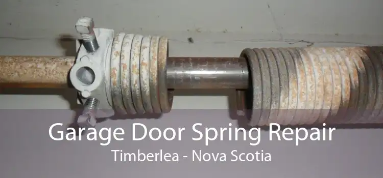 Garage Door Spring Repair Timberlea - Nova Scotia