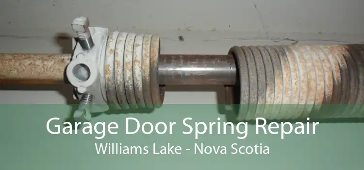 Garage Door Spring Repair Williams Lake - Nova Scotia