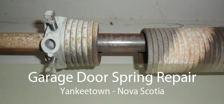 Garage Door Spring Repair Yankeetown - Nova Scotia