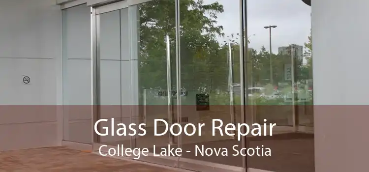 Glass Door Repair College Lake - Nova Scotia