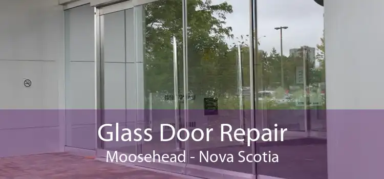Glass Door Repair Moosehead - Nova Scotia