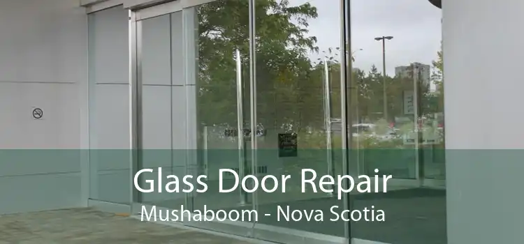 Glass Door Repair Mushaboom - Nova Scotia