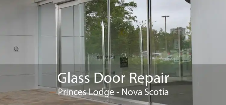 Glass Door Repair Princes Lodge - Nova Scotia