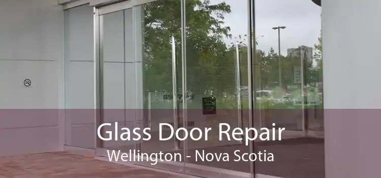 Glass Door Repair Wellington - Nova Scotia