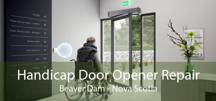 Handicap Door Opener Repair Beaver Dam - Nova Scotia