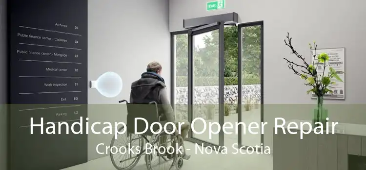 Handicap Door Opener Repair Crooks Brook - Nova Scotia