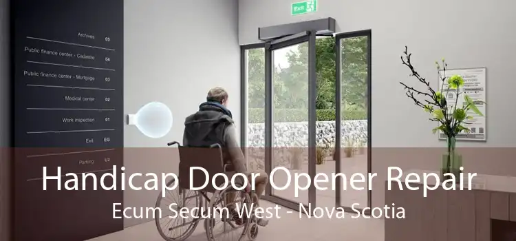 Handicap Door Opener Repair Ecum Secum West - Nova Scotia