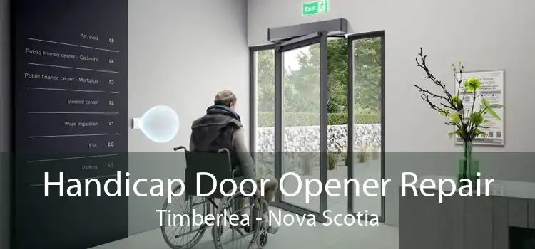 Handicap Door Opener Repair Timberlea - Nova Scotia