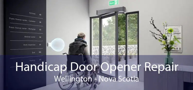 Handicap Door Opener Repair Wellington - Nova Scotia