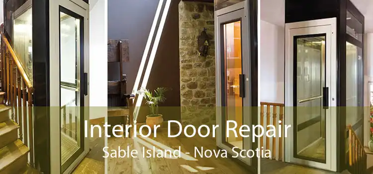 Interior Door Repair Sable Island - Nova Scotia