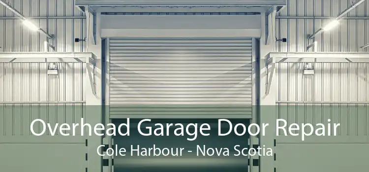 Overhead Garage Door Repair Cole Harbour - Nova Scotia
