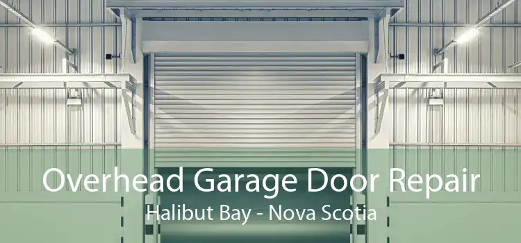 Overhead Garage Door Repair Halibut Bay - Nova Scotia
