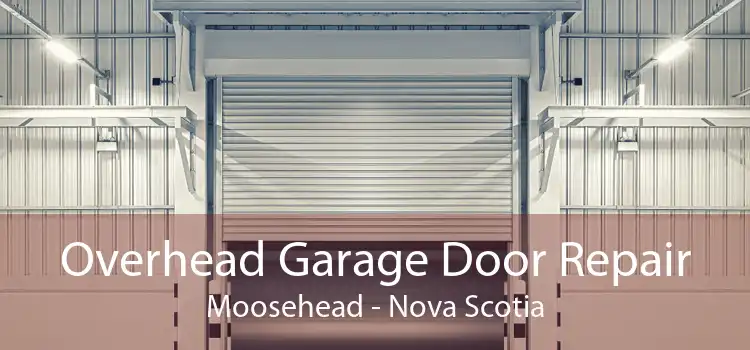 Overhead Garage Door Repair Moosehead - Nova Scotia