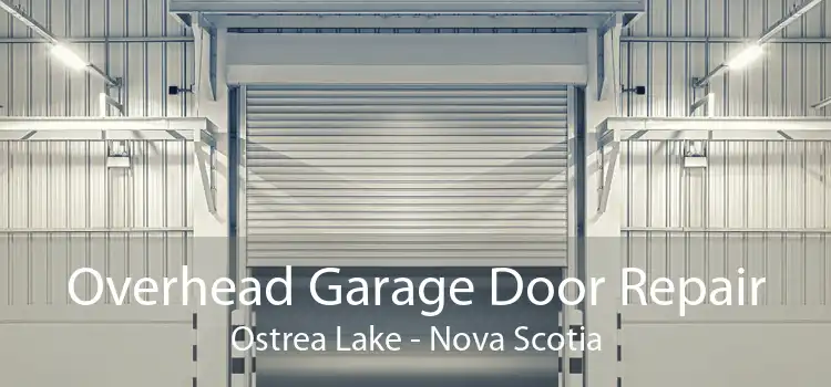 Overhead Garage Door Repair Ostrea Lake - Nova Scotia