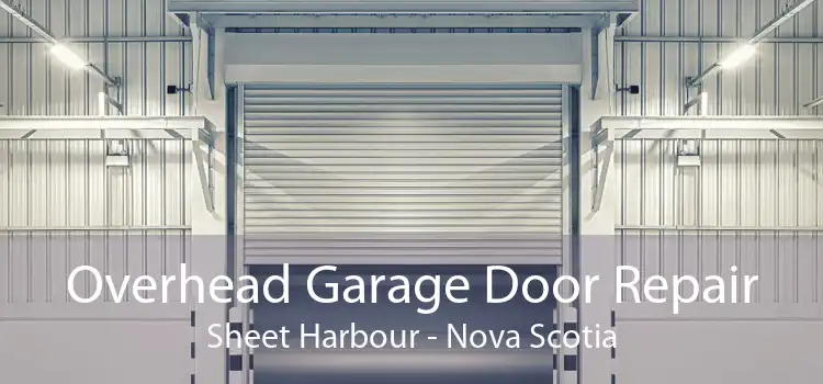 Overhead Garage Door Repair Sheet Harbour - Nova Scotia