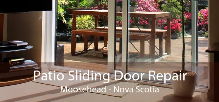 Patio Sliding Door Repair Moosehead - Nova Scotia