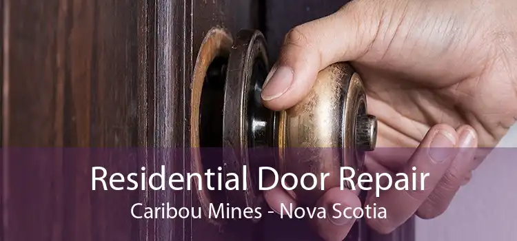 Residential Door Repair Caribou Mines - Nova Scotia