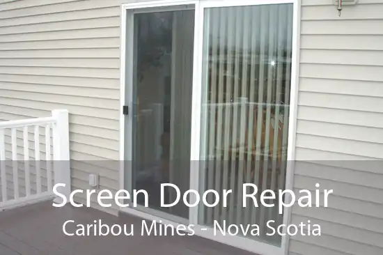 Screen Door Repair Caribou Mines - Nova Scotia