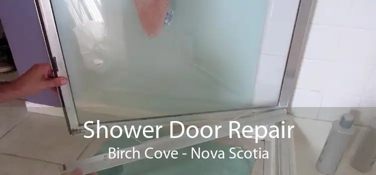 Shower Door Repair Birch Cove - Nova Scotia