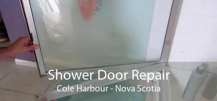 Shower Door Repair Cole Harbour - Nova Scotia