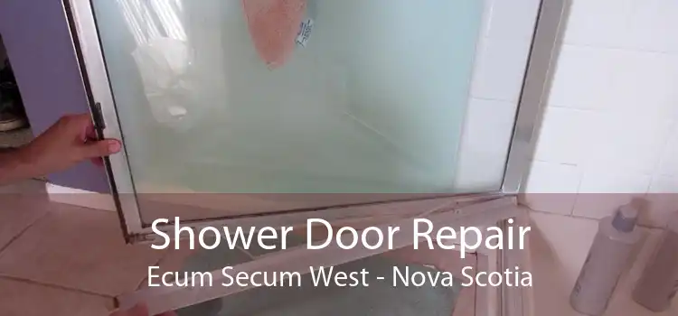 Shower Door Repair Ecum Secum West - Nova Scotia