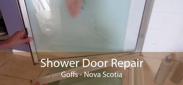 Shower Door Repair Goffs - Nova Scotia