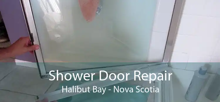 Shower Door Repair Halibut Bay - Nova Scotia