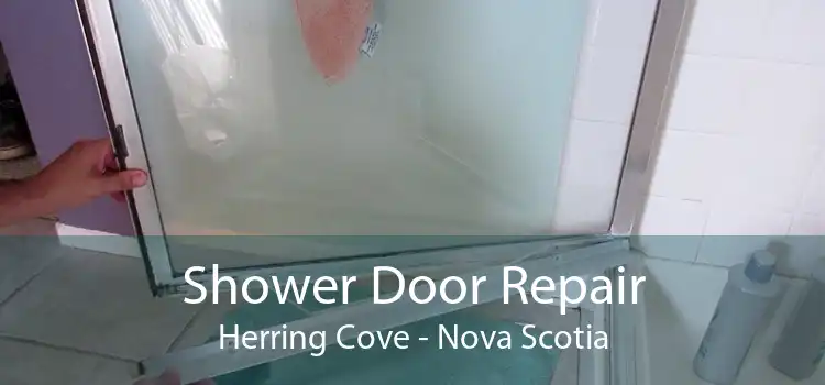Shower Door Repair Herring Cove - Nova Scotia