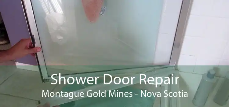 Shower Door Repair Montague Gold Mines - Nova Scotia