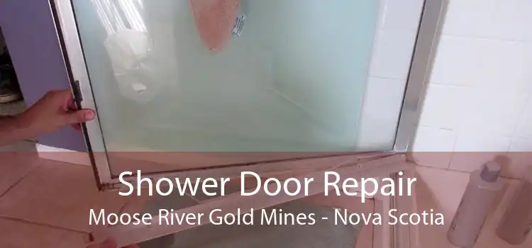 Shower Door Repair Moose River Gold Mines - Nova Scotia