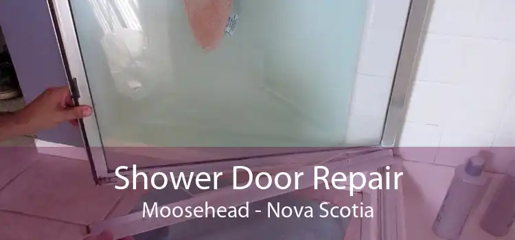 Shower Door Repair Moosehead - Nova Scotia