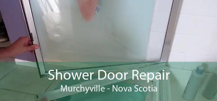 Shower Door Repair Murchyville - Nova Scotia