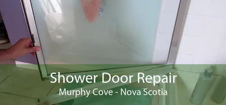 Shower Door Repair Murphy Cove - Nova Scotia