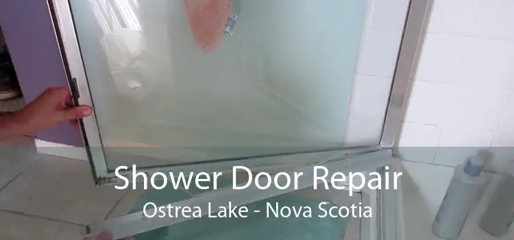 Shower Door Repair Ostrea Lake - Nova Scotia