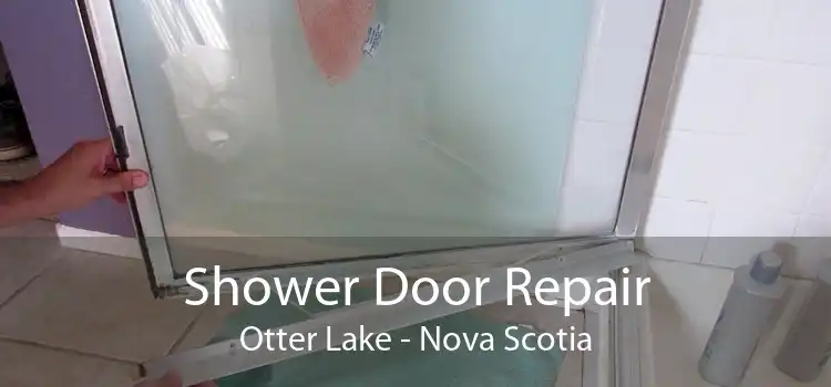 Shower Door Repair Otter Lake - Nova Scotia