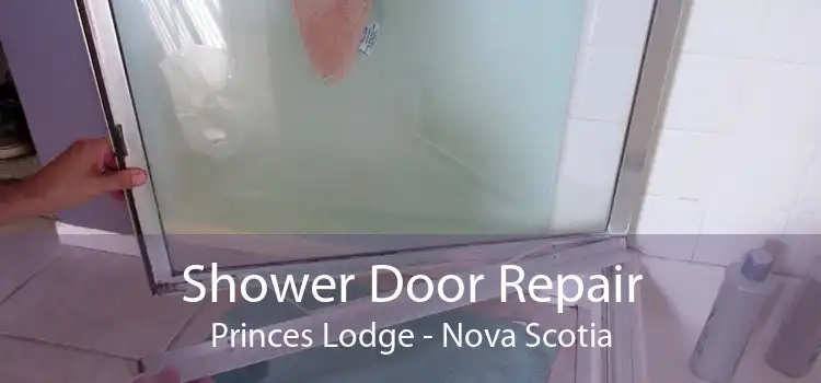 Shower Door Repair Princes Lodge - Nova Scotia