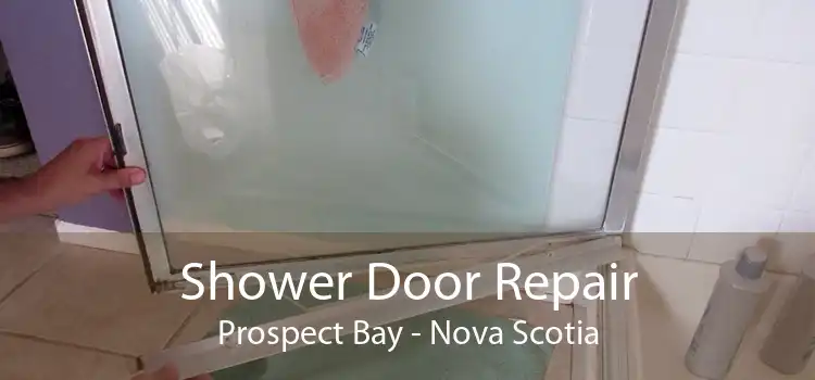 Shower Door Repair Prospect Bay - Nova Scotia