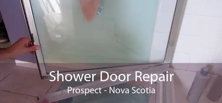 Shower Door Repair Prospect - Nova Scotia