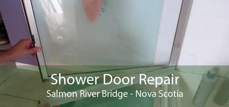 Shower Door Repair Salmon River Bridge - Nova Scotia