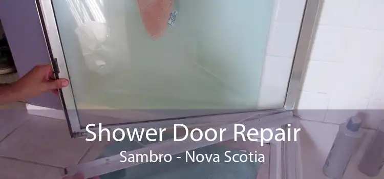 Shower Door Repair Sambro - Nova Scotia