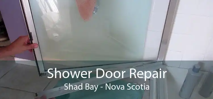 Shower Door Repair Shad Bay - Nova Scotia
