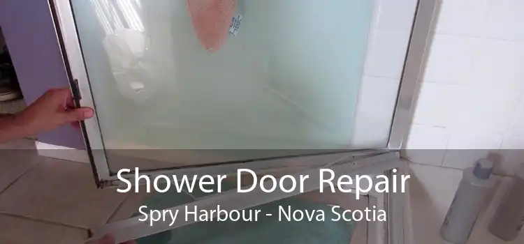 Shower Door Repair Spry Harbour - Nova Scotia