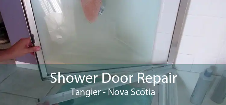 Shower Door Repair Tangier - Nova Scotia